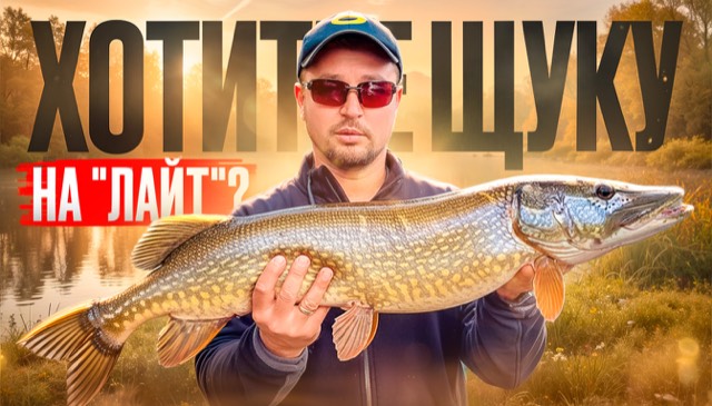 Lifestyle обложка